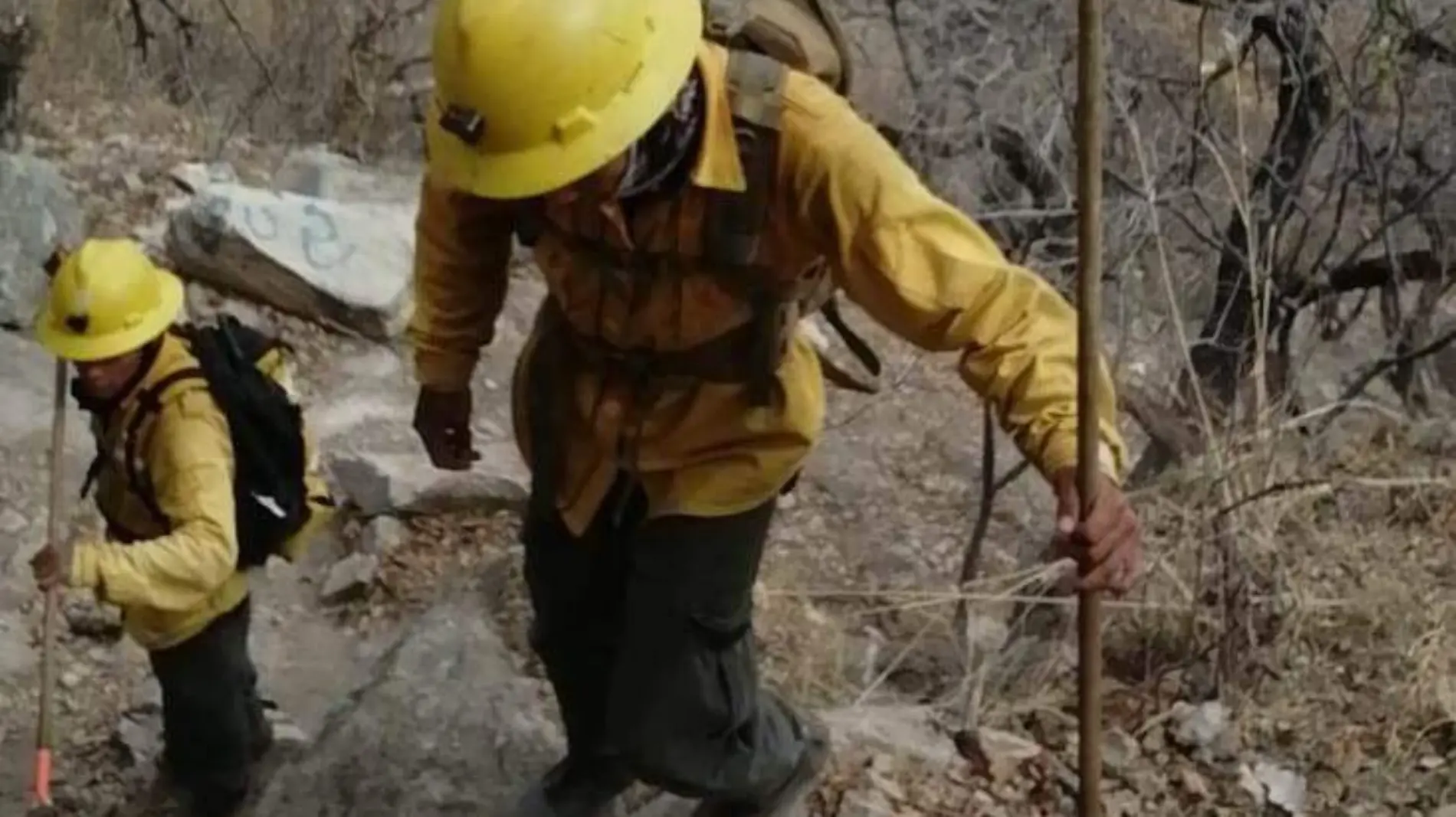 incendio-Jantetelco-gobierno-del-estado